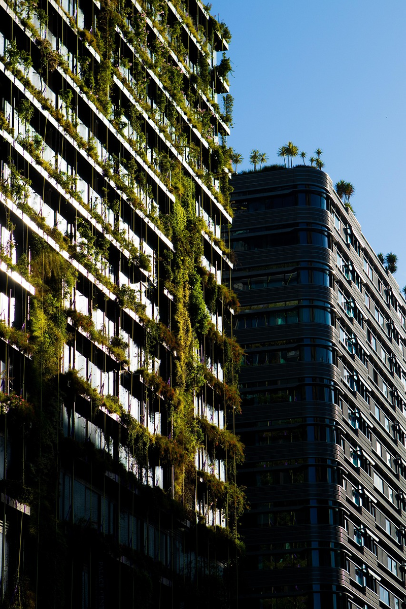 Urban Garden