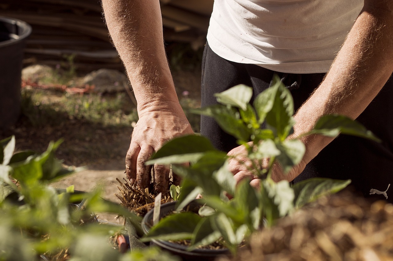 Planting Tips - Part 1